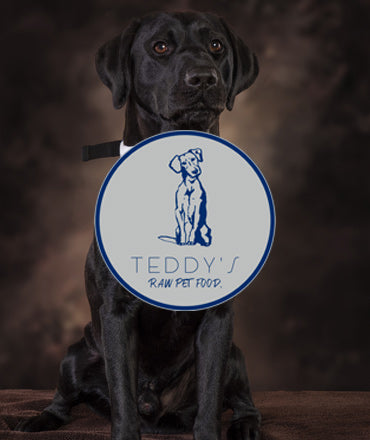 Teddy's Raw Pet Food
